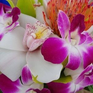 Meet your Posher, Alana